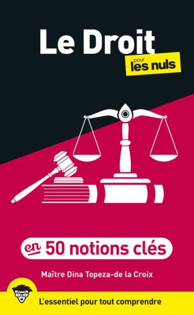 Le Droit pour les Nuls en 50 notions clés, 3e éd by Dina Topeza-de la Croix