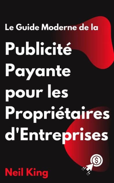 Le Guide Moderne de la Publicité Payante pour les Propriétaires d'Entreprises: Une introduction rapide aux annonces Google, Facebook, Instagram, YouTube et TikTok by Neil King