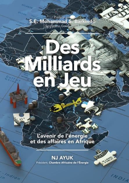 Des milliards en jeu: L'avenir de l'énergie et des affaires en Afrique/Billions at Play (French Edition) by NJ Ayuk