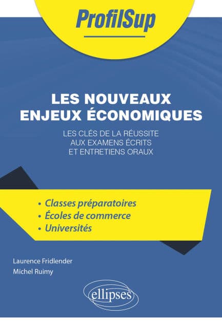 Les nouveaux enjeux économiques: Les clés de la réussite aux examens écrits et entretiens oraux by Michel Ruimy