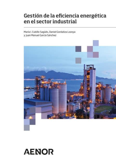 Gestión de la eficiencia energética en el sector industrial by María I. Cubillo Sagüés