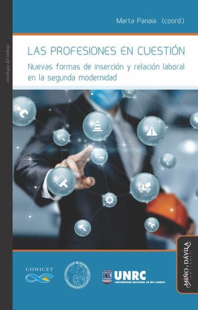 Las profesiones en cuestión: Nuevas formas de inserción y relación laboral en la segunda modernidad by Marta Panaia
