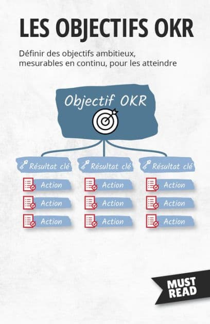 Les Objectifs OKR: Définir des objectifs ambitieux, mesurables en continu, pour les atteindre by Peter Lanore