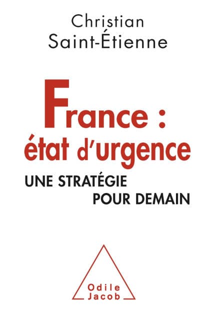 France : état d'urgence: Une stratégie pour demain by Christian Saint-Étienne