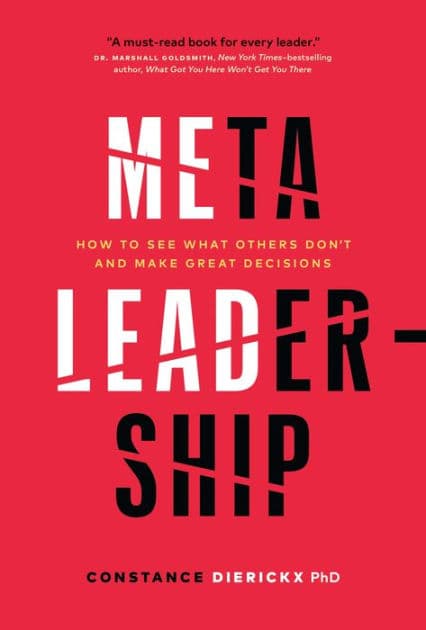 Meta-Leadership: How to See What Others Don't and Make Great Decisions by Constance Dierickx