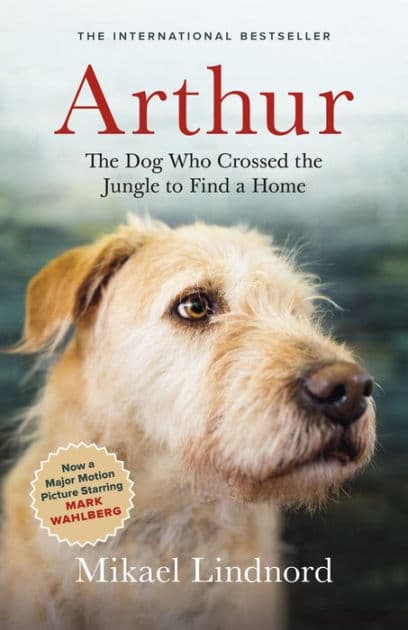 Arthur: The Dog Who Crossed the Jungle to Find a Home by Mikael Lindnord