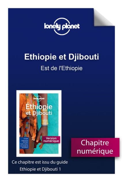 Ethiopie et Djibouti 1ed - Est de l'Ethiopie by Lonely Planet