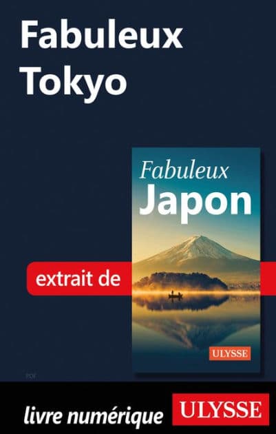 Fabuleux Tokyo by Ouvrage Collectif