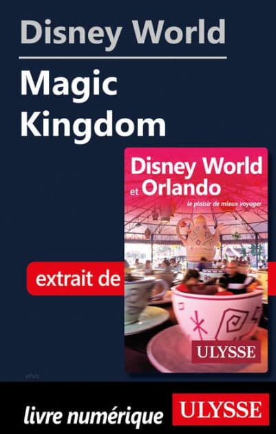 Disney World - Magic Kingdom by Claude Morneau