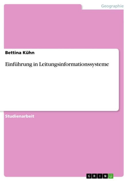 Einführung in Leitungsinformationssysteme by Bettina Kühn