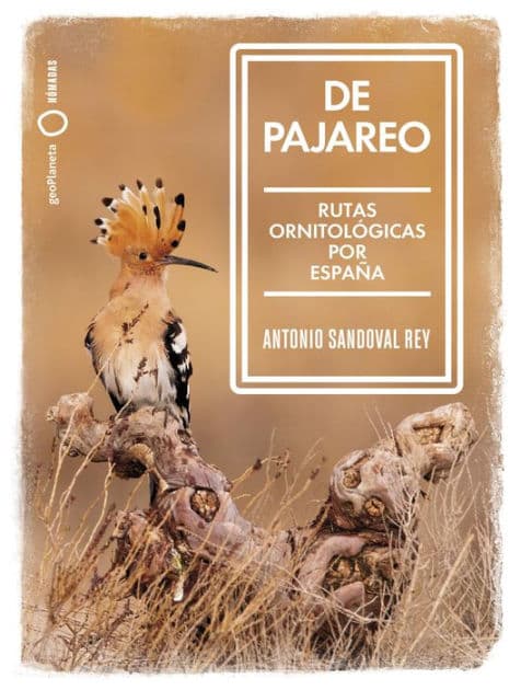 De pajareo: Rutas ornitológicas por España by Antonio Sandoval
