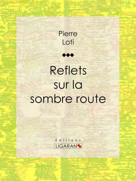 Reflets sur la sombre route by Pierre Loti