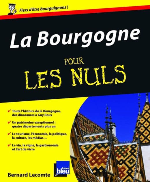 La Bourgogne Pour les Nuls by Bernard Lecomte