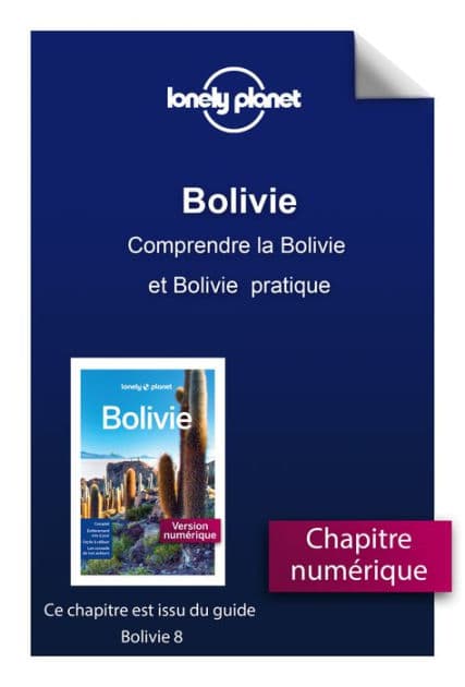 Bolivie 8ed - Comprendre la Bolivie et Bolivie pratique by Lonely Planet