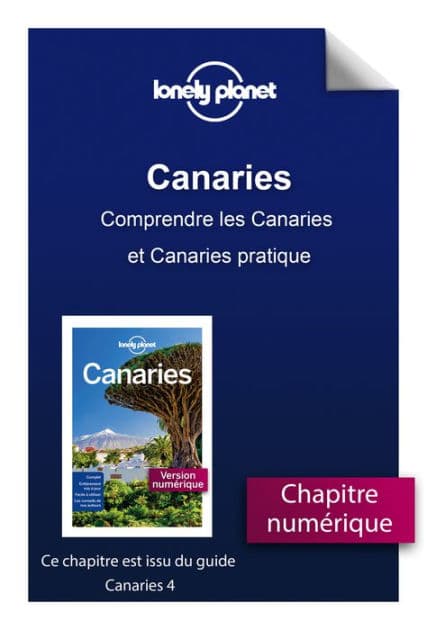 Canaries 4ed - Comprendre les Canaries et Canaries pratique by Lonely planet fr