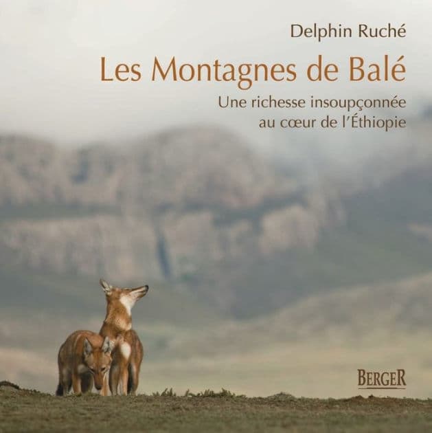 Les Montagnes de Balé: Une richesse insoupçonnée au coeur de l'Éthiopie by Delphin Ruché