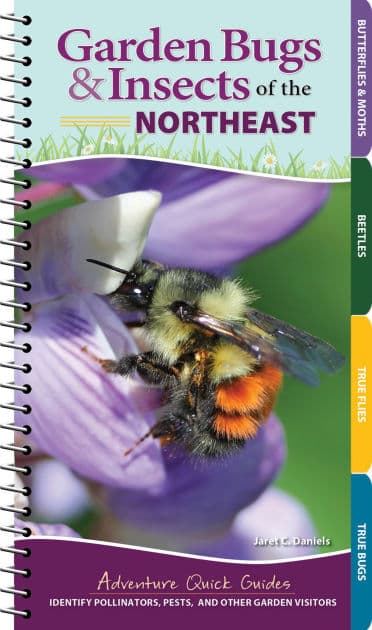 Garden Bugs & Insects of the Northeast: Identify Pollinators, Pests, and Other Garden Visitors by Jaret C. Daniels