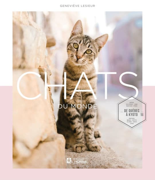 Chats du monde: De Québec à Kyoto by Geneviève LeSieur