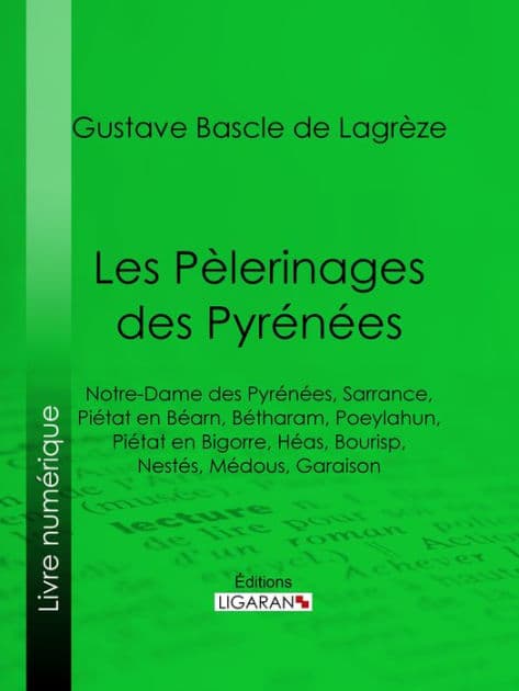 Les Pèlerinages des Pyrénées: Notre-Dame des Pyrénées, Sarrance, Piétat en Béarn, Bétharam, Poeylahun, Piétat en Bigorre, Héas, Bourisp, Nestés, Médous, Garaison by Gustave Bascle de Lagrèze