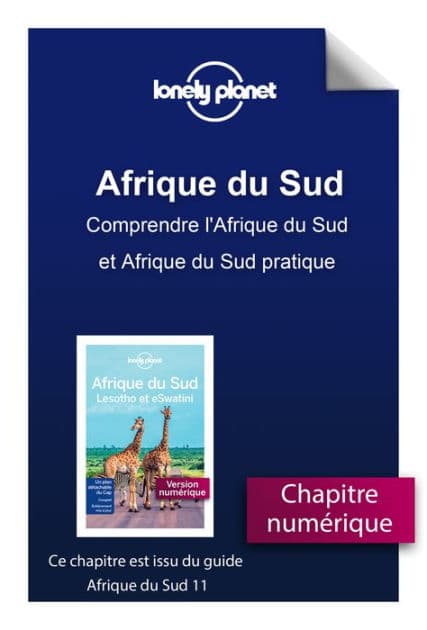 Afrique du Sud 11ed - Comprendre l'Afrique du Sud et Afrique du Sud pratique by Lonely planet fr