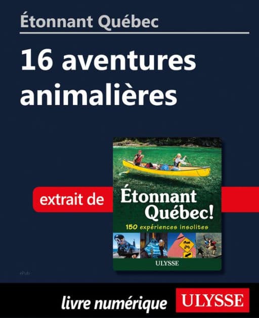 Étonnant Québec: 16 aventures animalières by Julie Brodeur
