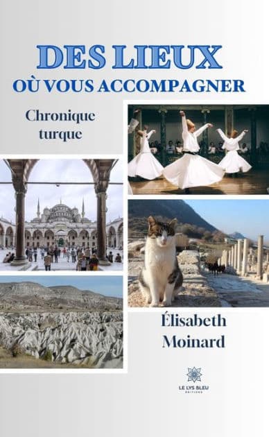 Des lieux où vous accompagner: Chronique turque by Élisabeth Moinard