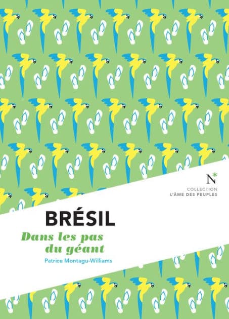 Brésil : Dans les pas du géant: L'Âme des peuples by Patrice Montagu-Williams