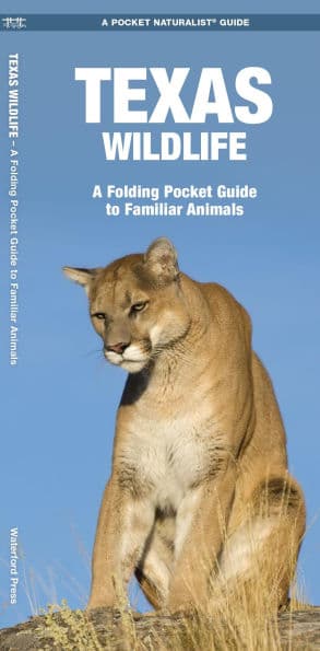 Texas Wildlife: A Folding Pocket Guide to Familiar Animals by James Kavanagh Waterford Press