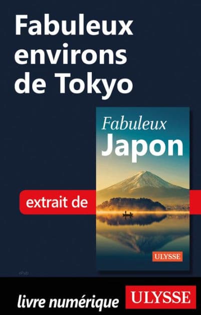 Fabuleux environs de Tokyo by Ouvrage Collectif
