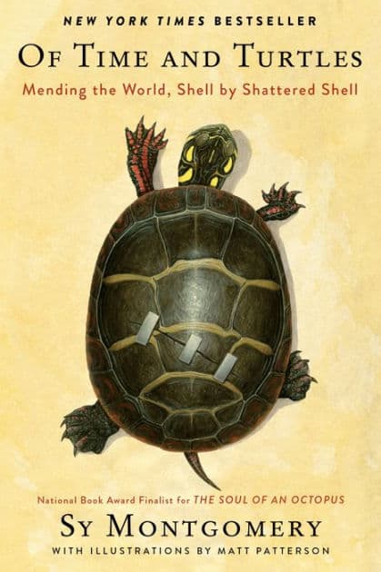 Of Time and Turtles: Mending the World, Shell by Shattered Shell by Sy Montgomery