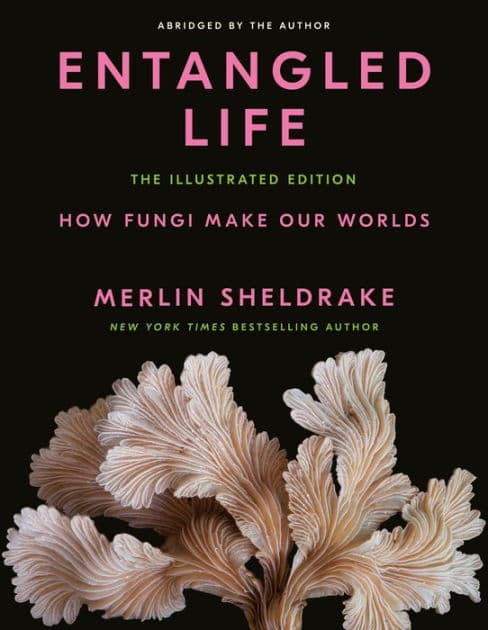 Entangled Life: The Illustrated Edition: How Fungi Make Our Worlds by Merlin Sheldrake