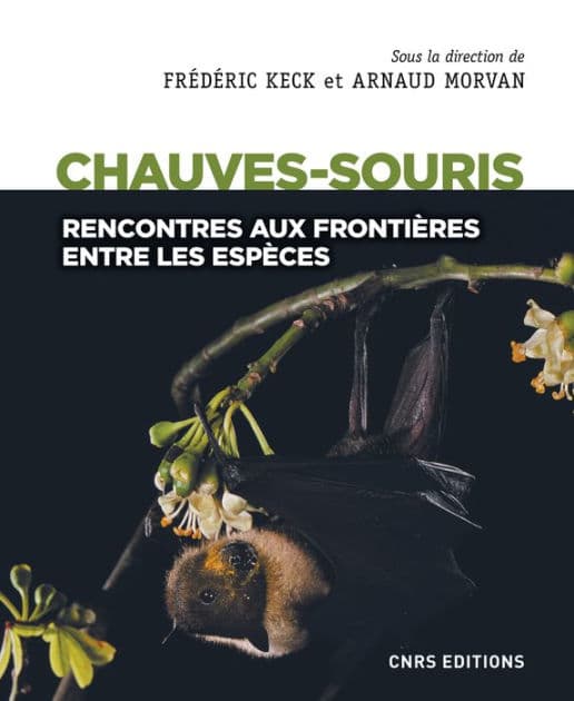 Chauves-souris - Rencontres aux frontières entre les espèces by Frédéric Keck