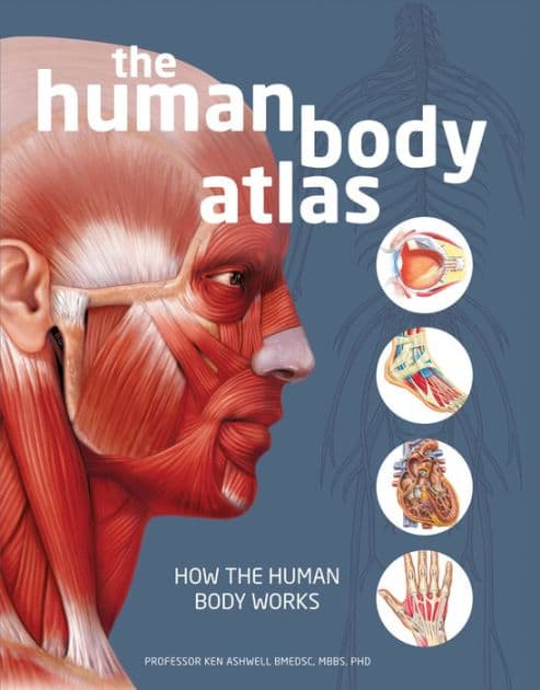 Human Body Atlas by National Geographic
