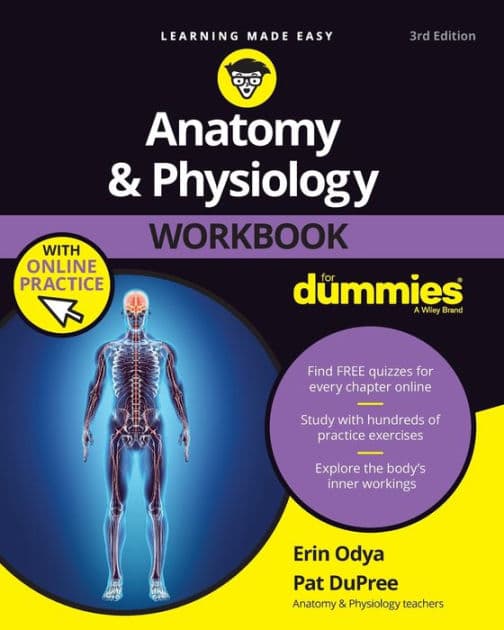 Anatomy & Physiology Workbook For Dummies with Online Practice by Erin Odya