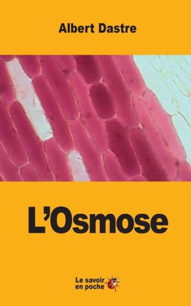 L'Osmose by Albert Dastre
