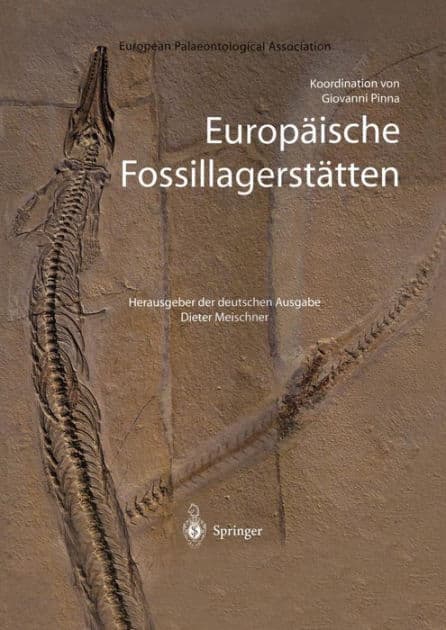 Europï¿½ische Fossillagerstï¿½tten by Dieter Meischner