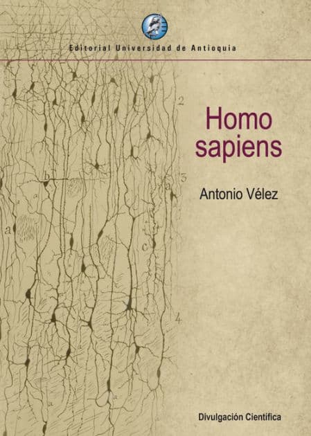 Homo sapiens by Antonio Vélez
