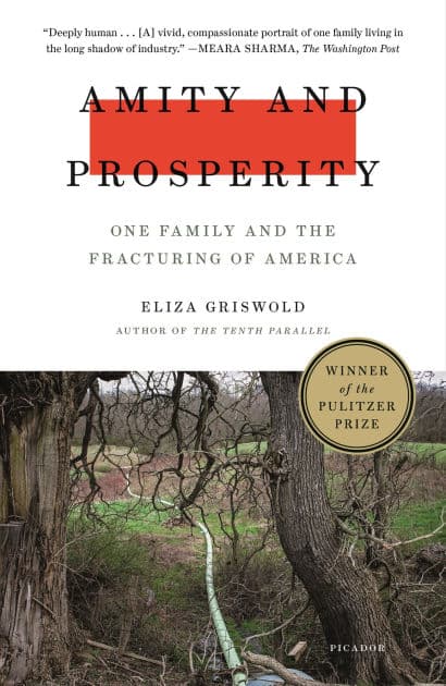 Amity and Prosperity: One Family and the Fracturing of America (Pulitzer Prize Winner) by Eliza Griswold