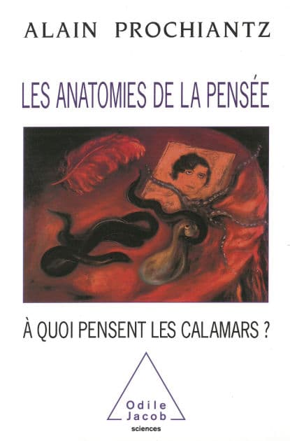 Les Anatomies de la pensée: À quoi pensent les calamars ? by Alain Prochiantz