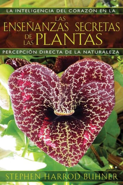Las enseñanzas secretas de las plantas: La inteligencia del corazón en la percepción directa de la naturaleza by Stephen Harrod Buhner