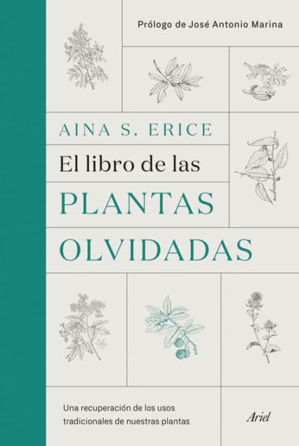 El libro de las plantas olvidadas: Una recuperación de los usos tradicionales de nuestras plantas by Aina S. Erice