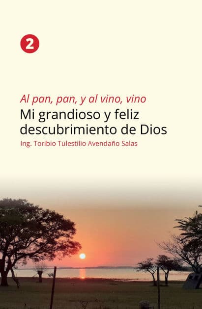 Al pan, pan y al vino, vino 2: Mi grandioso y feliz descubrimiento de Dios by Ing. Toribio Tulestilio Avendaño Salas