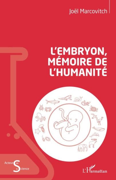 L'embryon, mémoire de l'humanité by Joël Marcovitch