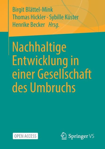Nachhaltige Entwicklung in einer Gesellschaft des Umbruchs by Birgit Blättel-Mink