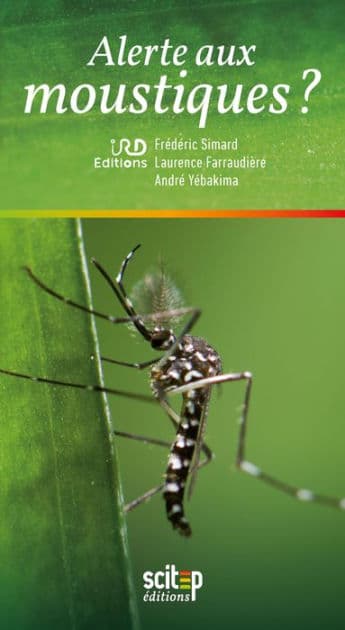 Alerte aux moustiques ? by André Yébakima