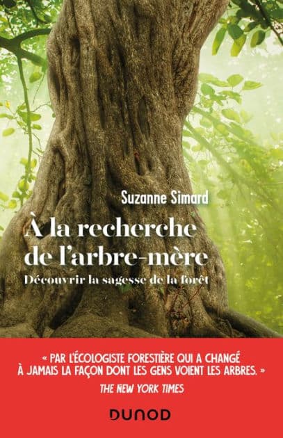 A la recherche de l'arbre-mère: Découvrir la sagesse de la forêt by Suzanne Simard