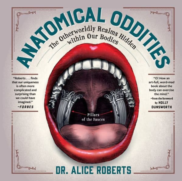 Anatomical Oddities: The Otherworldly Realms Hidden within Our Bodies by Alice Roberts