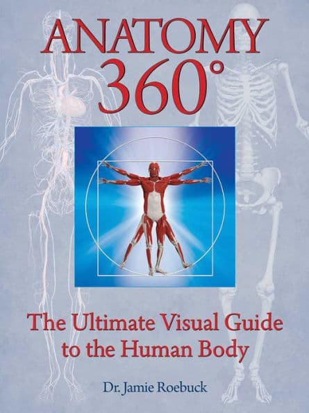 Anatomy 360: The Ultimate Visual Guide to the Human Body by Jamie Roebuck