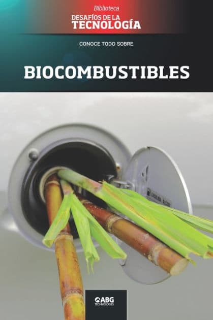 Biocombustibles: Proálcool y Flex by Abg Technologies