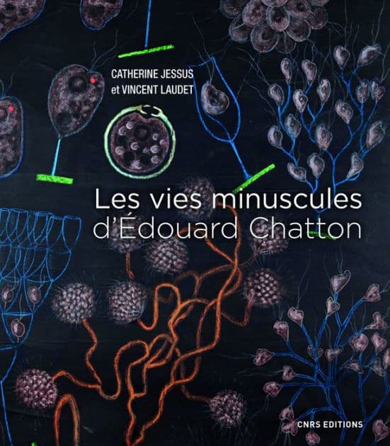 Les vies minuscules d'Edouard Chatton by Vincent Laudet